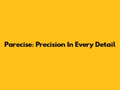 Parecise: Precision In Every Detail