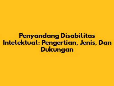 Penyandang Disabilitas Intelektual: Pengertian, Jenis, Dan Dukungan
