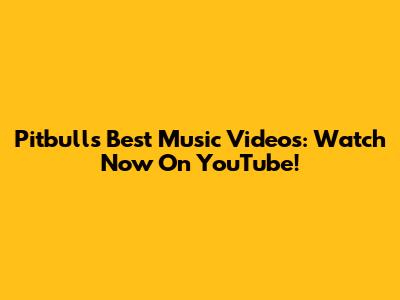 Pitbull's Best Music Videos: Watch Now On YouTube!