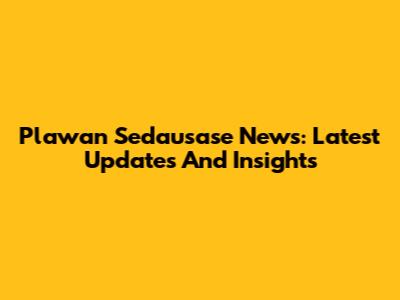 Plawan Sedausase News: Latest Updates And Insights