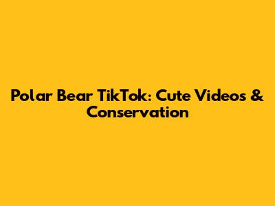 Polar Bear TikTok: Cute Videos & Conservation