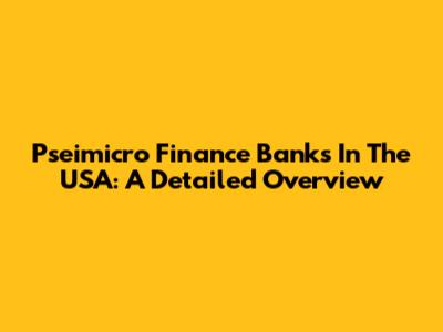 Pseimicro Finance Banks In The USA: A Detailed Overview
