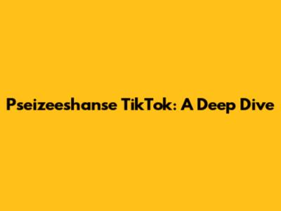 Pseizeeshanse TikTok: A Deep Dive