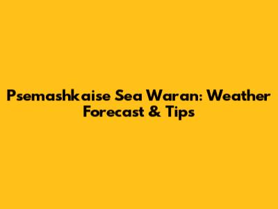 Psemashkaise Sea Waran: Weather Forecast & Tips
