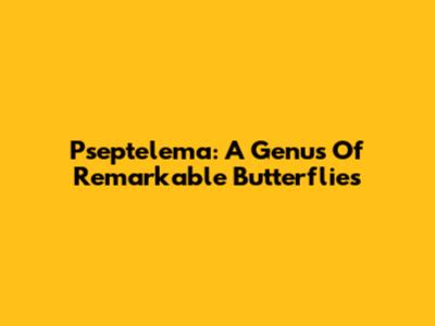 Pseptelema: A Genus Of Remarkable Butterflies