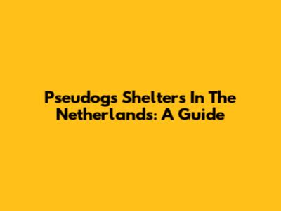 Pseudogs Shelters In The Netherlands: A Guide
