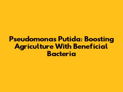 Pseudomonas Putida: Boosting Agriculture With Beneficial Bacteria