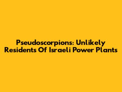 Pseudoscorpions: Unlikely Residents Of Israeli Power Plants