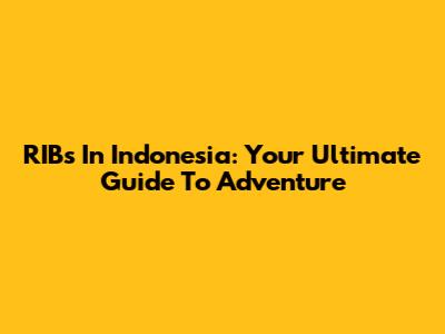 RIBs In Indonesia: Your Ultimate Guide To Adventure