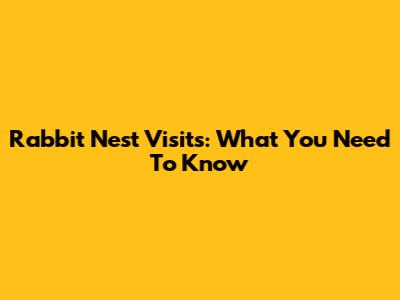 Rabbit Nest Visits: What You Need To Know