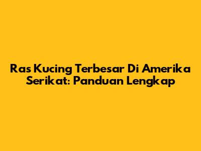 Ras Kucing Terbesar Di Amerika Serikat: Panduan Lengkap