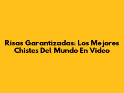 Risas Garantizadas: Los Mejores Chistes Del Mundo En Video