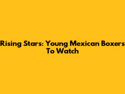 Rising Stars: Young Mexican Boxers To Watch