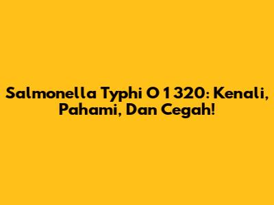 Salmonella Typhi O 1 320: Kenali, Pahami, Dan Cegah!