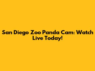 San Diego Zoo Panda Cam: Watch Live Today!