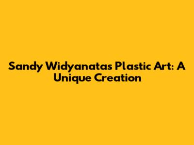 Sandy Widyanata's Plastic Art: A Unique Creation