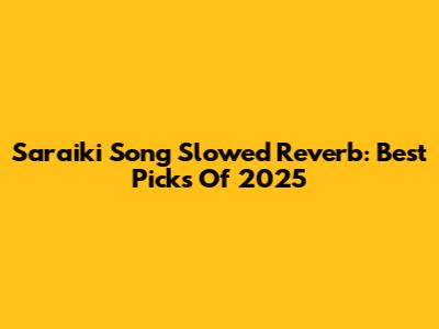 Saraiki Song Slowed Reverb: Best Picks Of 2025