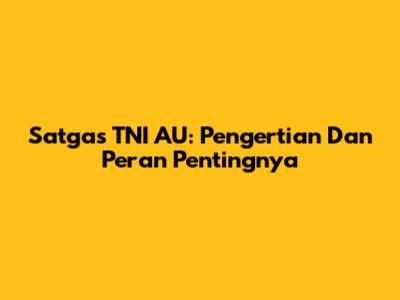 Satgas TNI AU: Pengertian Dan Peran Pentingnya
