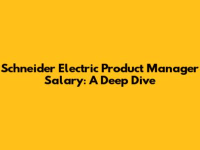 Schneider Electric Product Manager Salary: A Deep Dive