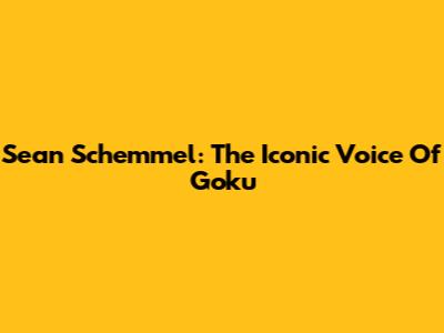 Sean Schemmel: The Iconic Voice Of Goku