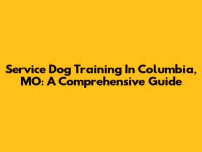 Service Dog Training In Columbia, MO: A Comprehensive Guide