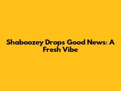 Shaboozey Drops "Good News": A Fresh Vibe