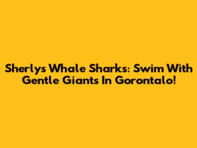 Sherly's Whale Sharks: Swim With Gentle Giants In Gorontalo!