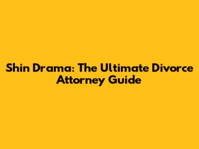Shin Drama: The Ultimate Divorce Attorney Guide