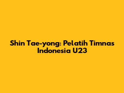 Shin Tae-yong: Pelatih Timnas Indonesia U23