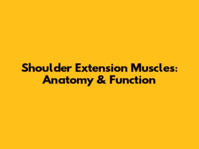 Shoulder Extension Muscles: Anatomy & Function