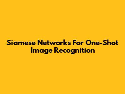 Siamese Networks For One-Shot Image Recognition
