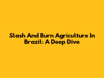 Slash And Burn Agriculture In Brazil: A Deep Dive