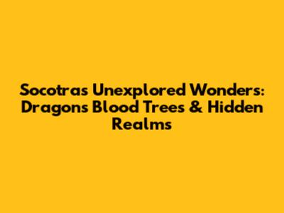 Socotra's Unexplored Wonders: Dragon's Blood Trees & Hidden Realms