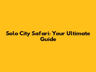 Solo City Safari: Your Ultimate Guide