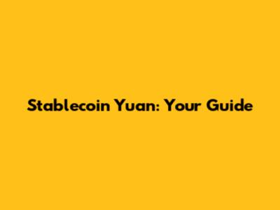 Stablecoin Yuan: Your Guide