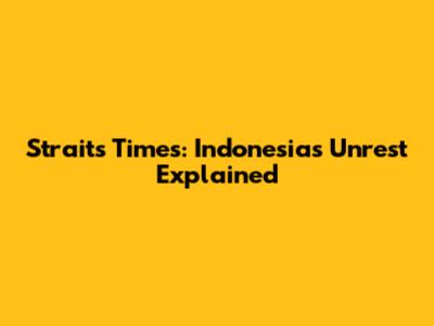 Straits Times: Indonesia's Unrest Explained