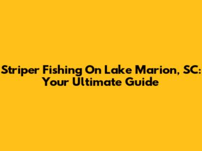 Striper Fishing On Lake Marion, SC: Your Ultimate Guide