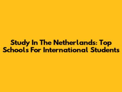 Study In The Netherlands: Top Schools For International Students