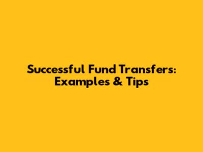 Successful Fund Transfers: Examples & Tips