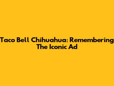 Taco Bell Chihuahua: Remembering The Iconic Ad