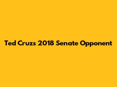 Ted Cruz's 2018 Senate Opponent