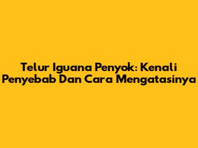 Telur Iguana Penyok: Kenali Penyebab Dan Cara Mengatasinya