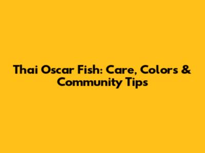 Thai Oscar Fish: Care, Colors & Community Tips