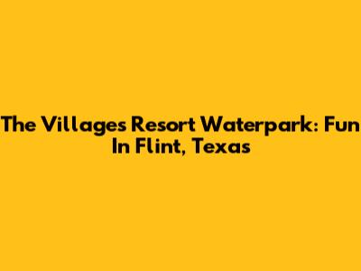 The Villages Resort Waterpark: Fun In Flint, Texas