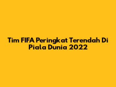 Tim FIFA Peringkat Terendah Di Piala Dunia 2022