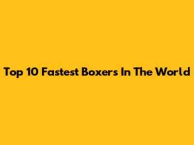 Top 10 Fastest Boxers In The World