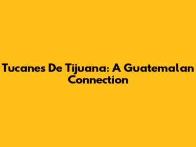 Tucanes De Tijuana: A Guatemalan Connection