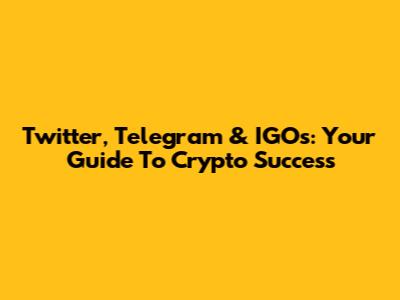 Twitter, Telegram & IGOs: Your Guide To Crypto Success