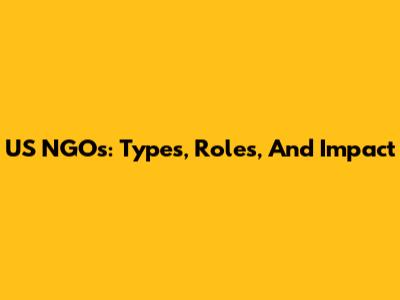US NGOs: Types, Roles, And Impact