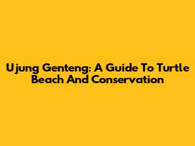 Ujung Genteng: A Guide To Turtle Beach And Conservation
